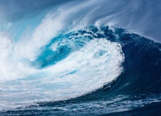 Clean ocean Clean ocean